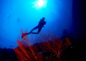 True Fijian sea warrior in the Mamanuca's islands, very n... by François Laporte 